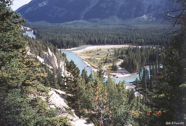 Bow River, Banff, Alberta Copyright © A.Ellacott