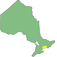 Newcastle District